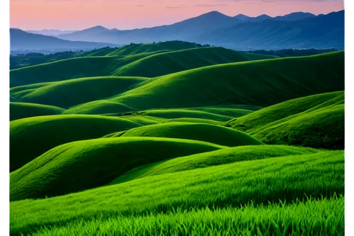 rice fields,ricefield,rice terraces,ricefields,rice field,landscape background,the rice field,green landscape,rice paddies,green wallpaper,paddy field,tea field,samsung wallpaper,amoled,green fields,gras,rice terrace,nature background,green background,yamada's rice fields,Illustration,Japanese style,Japanese Style 12