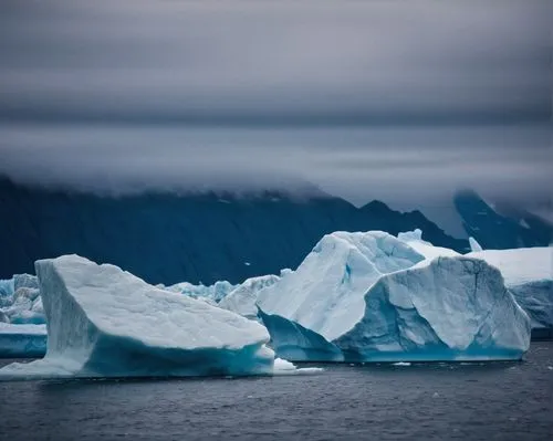 icebergs,iceberg,antarctic,ice floes,glaciers,sea ice,arctic antarctica,ice floe,the glacier,antartica,arctic ocean,glacial,antarctica,glacial melt,view of the glacier,arctic,polar ice cap,gorner glacier,glacier tongue,glacier,Photography,General,Cinematic