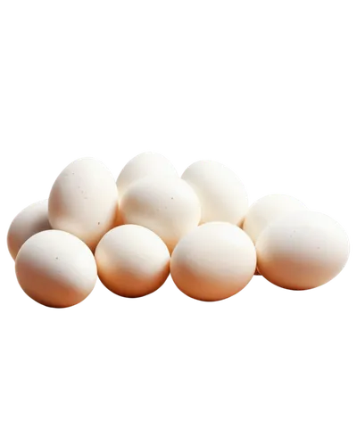 white eggs,goose eggs,eggs,brown eggs,egg shells,chicken eggs,broken eggs,egg,egg shell,range eggs,egg tray,zoeggler,bird eggs,boiled eggs,eggshells,oeuvres,colored eggs,egg basket,lay eggs,eggan,Photography,Artistic Photography,Artistic Photography 05