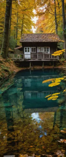 house with lake,house in the forest,the cabin in the mountains,autumn idyll,fisherman's house,house in mountains,autumn in japan,house in the mountains,reflection in water,boathouse,boat house,inverted cottage,water reflection,floating over lake,summer cottage,cottage,house by the water,starnberger lake,autumn camper,alpine lake,Conceptual Art,Graffiti Art,Graffiti Art 04