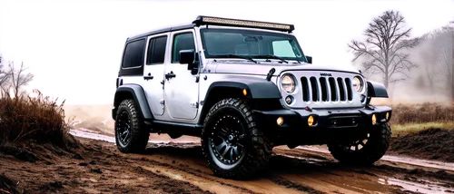 jeep,wrangler,jeep rubicon,jeeps,offroad,jltv,wranglings,jeep gladiator rubicon,off road,off-road vehicle,off road vehicle,four wheel drive,four wheel,willys jeep,off-road car,4 wheel drive,willys jeep mb,humvee,off road toy,bluetec,Illustration,Realistic Fantasy,Realistic Fantasy 20