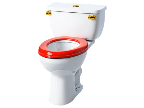 toilet,toilet seat,disabled toilet,dispenser,defecate,loo,wc,urinate,potty,urinal,urinary,urine,commodes,bladder,3d model,pee,diarrhoeal,latrine,toileting,toilet tissue,Conceptual Art,Daily,Daily 02