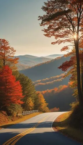 Mountainous landscape, IAA North Virginia, autumn season, vibrant foliage, rolling hills, dense forest, tall trees with orange and red leaves, winding mountain road, rusty guardrails, wooden fences, o