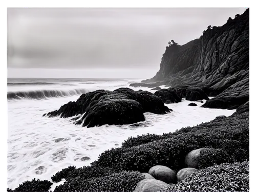 black beach,rocky coast,buccinum,punakaiki pancake rocks,flysch,esalen,black sand,montara,seascapes,ruby beach,rocky beach,cliff coast,yachats,wildcoast,intertidal,dark beach,heceta,rocas,pigeon point,grey sea,Illustration,Retro,Retro 17