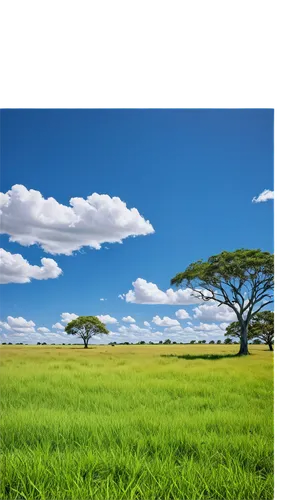 kericho,batswana,adansonia,isiolo,landscape background,laikipia,kikuyu,taveta,eldoret,grassland,isolated tree,naivasha,conservancies,grasslands,tanzanians,background view nature,east africa,tanzanian,botswana,tanzania,Photography,Documentary Photography,Documentary Photography 18