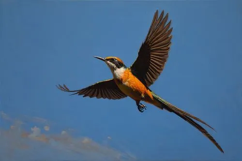 Bird is flying side view, elegant, long tail, hyper realistic oil painting, dramatic ,bird in flight,in flight,vuelo,bird painting,bird flying,pterodactylus,rhamphorhynchus,eurasian kingfisher,rufous 