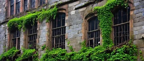 Abandoned, ruined, crumbling, Gothic, industrial, dark, eerie, misty, night, broken windows, shattered glass, rusty iron, vines crawling, ivy wrapped, stone walls, moss covered, overgrown, neglected, 