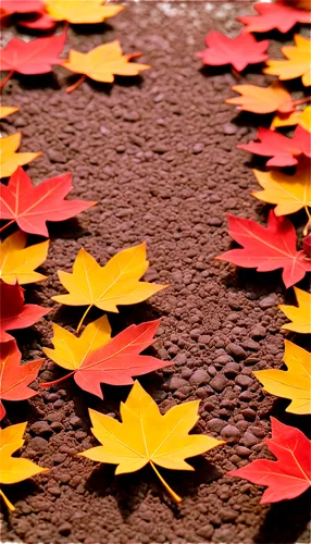 Fall leaves, vibrant orange, yellow, red, brown, scattered on ground, crunchy texture, delicate edges, veins visible, soft sunlight filtering through, shallow depth of field, warm color tone, cinemati