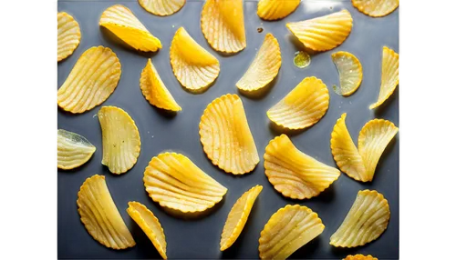 dried lemon slices,potato crisps,potato chips,lemon peel,pommes dauphine,sliced tangerine fruits,dried-lemon,gold foil laurel,carambola,dried petals,yukon gold potato,pommes anna,pappardelle,lemon slices,lemon background,chips from kale,rosemary potatoes,dried apricots,ukrainian dill potatoes,chips,Photography,Artistic Photography,Artistic Photography 04