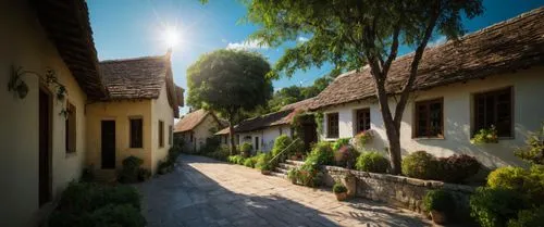 medieval street,old village,the cobbled streets,knight village,village street,cottages