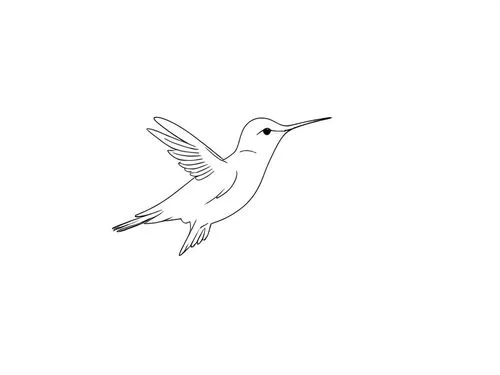 a hummingbird flying in the air with its wings spread,dove of peace,luginbill,bird drawing,tropicbird,white dove,bird illustration,Design Sketch,Design Sketch,Rough Outline