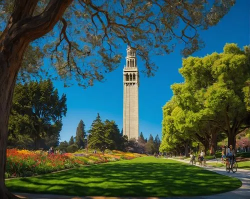 Berkeley University, landscape architecture, sunny day, warm atmosphere, greenery surroundings, sprawling lawn, Sather Tower in the background, walking path, stone pavement, lush trees, vibrant flower