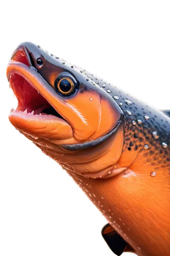 gar,fjord trout,eel,salmon-like fish,conger eel,nemo,oncorhynchus,steckerlfisch,piranha,skink,tobaccofish,anodorhynchus,salmon,arctic char,nigiri,moray,amphiprion,cichla,fish,smooth newt,Conceptual Art,Fantasy,Fantasy 21