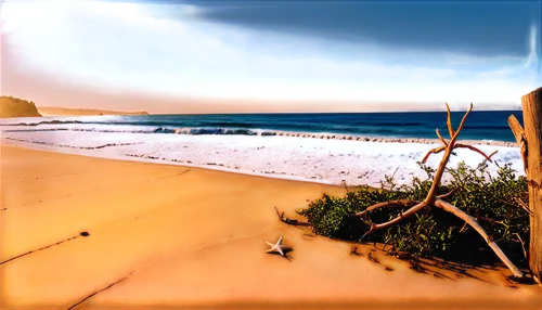 sandys,pismo beach,montara,narrabeen,beach grass,maroubra,sand coast,coolum,beach landscape,lowers,greens beach,funston,leucadia,surfrider,terrigal,sandy beach,broadbeach,white sandy beach,beach scenery,merewether,Illustration,Children,Children 02