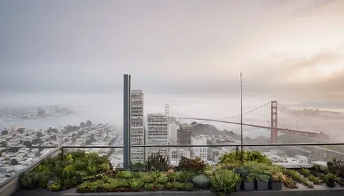 fogbound,wave of fog,sea of fog,san francisco,morning fog,sanfrancisco,transamerica,foggy,skybridge,transamerica pyramid,foggy day,high fog,fog up,sf,hearst,coit,skydeck,the fog,fogdoe,sfai,Photography,Documentary Photography,Documentary Photography 04