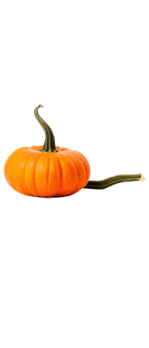 calabaza,cucurbit,halloween pumpkin gifts,candy pumpkin,decorative squashes,scarlet gourd,cucurbita,gourd,cucuzza squash,figleaf gourd,bitter gourd,pointed gourd,pumpkin soup,snake gourd,gourds,gem squash,decorative pumpkins,halloween pumpkin,pumkin,seasonal autumn decoration,Illustration,Black and White,Black and White 22