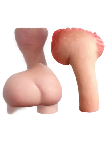 deformations,mushroom type,uteruses,marzipan figures,fondant,udu,stool,gluteus,mushroom,3d figure,3d object,torsos,goo,mushrooms,formes,volvulus,testicular,desnuda,tumors,fallopian,Illustration,Japanese style,Japanese Style 01