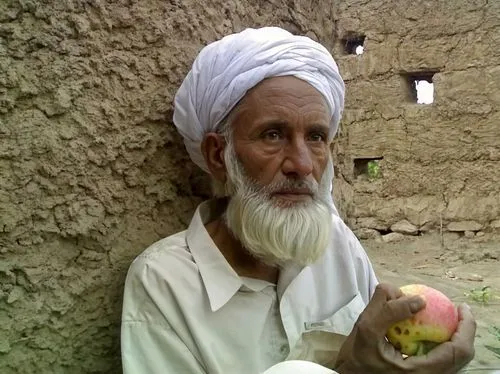 The must be clean ,amla,sheer khurma,indian gooseberry,shehnai,burji kalifa,indian jujube,indian sadhu,shankha,pensioner,bhajji,elderly man,lassi,collecting nut fruit,dastar,turban,batata harra,baghar