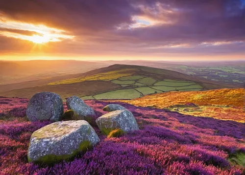 north yorkshire moors,purple landscape,peak district,brecon beacons,yorkshire,north yorkshire,landscapes beautiful,exmoor,yorkshire dales,dorset,derbyshire,lake district,beautiful landscape,wales,landscape photography,northern ireland,moorland,lavender field,lavender fields,wicklow,Illustration,Retro,Retro 11