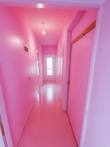 EVERYONE ARE WHİTE AND EASY PİNK,a long corridor with pink walls and light,hallway space,hallway,hallways,corridors,corridor,room door,pink vector,wall,jetway,cleanrooms,3d rendering,passageway,pink p