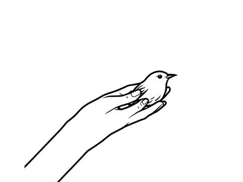 a hand holding a bird that is sitting on its finger,bird outline,drawing of hand,bird illustration,bird drawing,small bird,dove eating out of your hand,Design Sketch,Design Sketch,Rough Outline