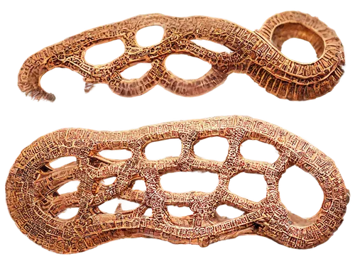 polychaetes,micropholis,fasciola,mitochondrion,golgi,trichinella,enterococci,ramphotyphlops,metacercariae,polyplacophoran,ophiusa,paraneoplastic,euphyllia paraancora,pseudopod,embryos,polyptychus,protostomes,desulfovibrio,sphyrna,platyhelminthes,Conceptual Art,Fantasy,Fantasy 25