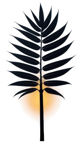 palm tree vector,cycad,fan palm,nz badge,wine palm,palm leaf,punakaiki,palm sunday,palm fronds,palm leaves,lotus png,tree ferns,palmtree,palm branches,norfolk island pine,palm tree silhouette,frond,sabal palmetto,paurotis palm,saw palmetto,Conceptual Art,Sci-Fi,Sci-Fi 20