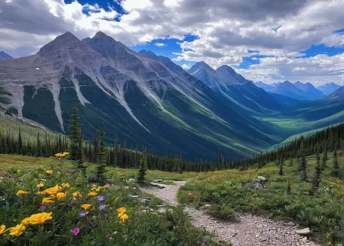 West Wind Pass is one of the best spots for Kananaskis hiking,jasper national park,canadian rockies,icefields parkway,banff national park,alberta,banff alberta,bow valley,peyto lake,icefield parkway,b