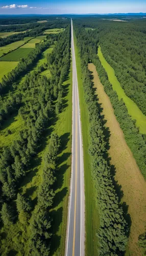 alcan highway,aroostook county,manitoba,forest road,alaska pipeline,tree lined lane,alligator alley,fork road,aaa,ontario,country road,tree-lined avenue,gregory highway,north baltic canal,long road,open road,highway,tree lined,winding roads,aerial photography,Photography,General,Realistic