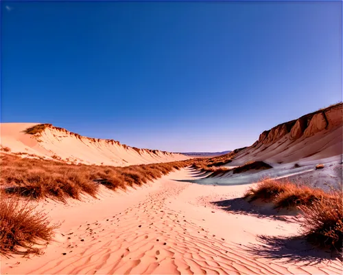 pink sand dunes,dune landscape,sand dunes,coral pink sand dunes,the sand dunes,dunes,sand dune,dune sea,san dunes,crescent dunes,white sands dunes,namib,admer dune,namib desert,moving dunes,libyan desert,coorong,dune ridge,dune grass,sand road,Illustration,Japanese style,Japanese Style 06