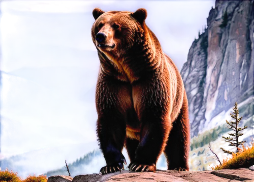 brown bear,grizzlies,grizzly,brown bears,bear,grizzly bear,kodiak bear,bear guardian,scandia bear,bear kamchatka,great bear,cute bear,nordic bear,bears,bear market,grizzly cub,american black bear,buffalo plaid bear,big bear,sun bear,Unique,Paper Cuts,Paper Cuts 08