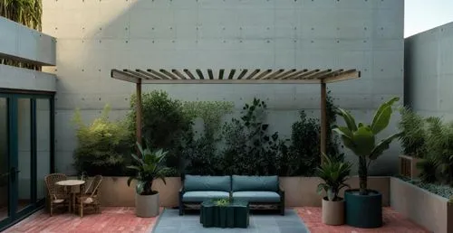 madera, colores neutro, concreto, plantas
,a room with several plants, couches and tables,garden design sydney,landscape design sydney,patios,landscape designers sydney,patio,courtyards,roof garden,ro