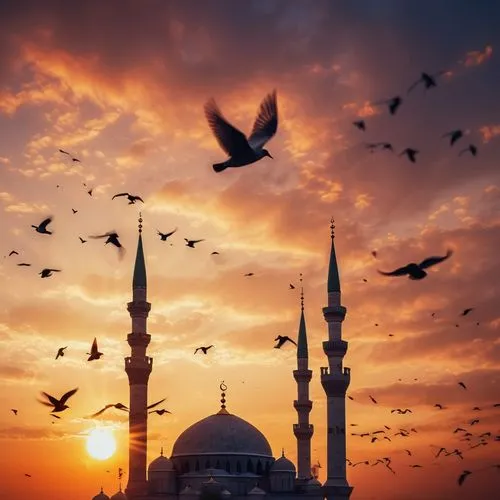 sultan ahmed mosque,blue mosque,sultan ahmet mosque,muezzin,mosques,sultanahmet,istanbul,grand mosque,mevlana,istambul,istanbul city,city mosque,urzica,turkey,turkiye,alabaster mosque,muezzins,turkey tourism,edirne,big mosque,Photography,General,Cinematic