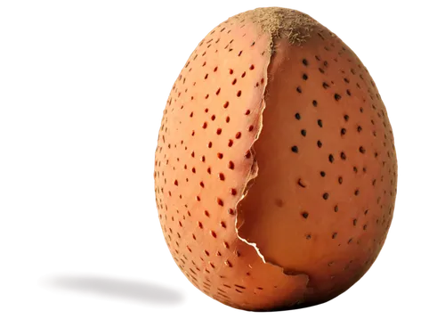 egg,brown egg,soy egg,bisected egg,large egg,yam,acorn,easter egg sorbian,rock pear,potato character,avo,hen's egg,organic egg,potatoe,potato,gourd,trypophobia,almonds,egg shell,tree nut,Photography,Artistic Photography,Artistic Photography 09