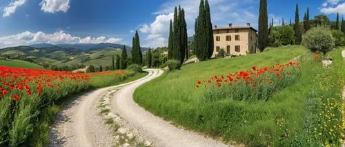 tuscany,toscane,toscana,umbria,provence,landscape background,Photography,General,Realistic