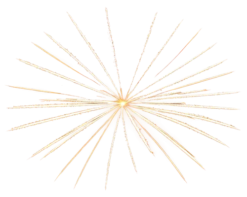 spirography,gold spangle,sunburst background,missing particle,trajectory of the star,last particle,incidence of light,sunstar,visualization,3-fold sun,spectrum spirograph,gold foil tree of life,apophysis,fireworks art,firework,intersection graph,mandala framework,fireworks rockets,shower of sparks,spirograph,Illustration,Black and White,Black and White 24