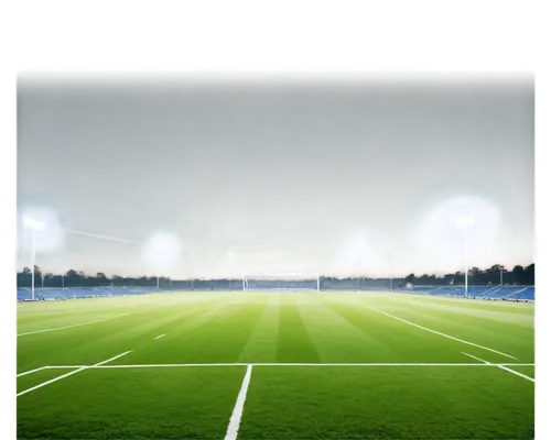 football pitch,artificial turf,football field,soccer field,soccer-specific stadium,floodlight,floodlights,athletic field,playing field,football stadium,sport venue,international rules football,gridiron football,touch football (american),football equipment,sports ground,football,indoor games and sports,pitch,background vector,Photography,Black and white photography,Black and White Photography 12