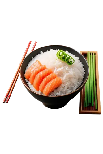 enoki,japanese cuisine,salmon roll,sashimi,bowl of rice,sushi,surimi,japanese food,jasmine rice,sushi plate,rice,sanma,ricetec,vermicelli,asian cuisine,nigiri,udon,tatsushi,asian food,one rice roll,Conceptual Art,Oil color,Oil Color 16