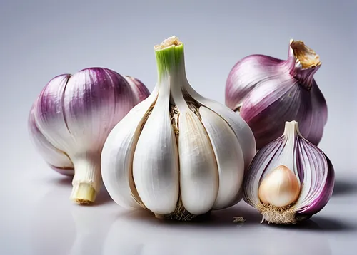 Imagine a futuristic world where garlic bulbs have become the main currency. Describe a transaction involving garlic.,persian onion,cultivated garlic,clove garlic,head of garlic,a clove of garlic,chin