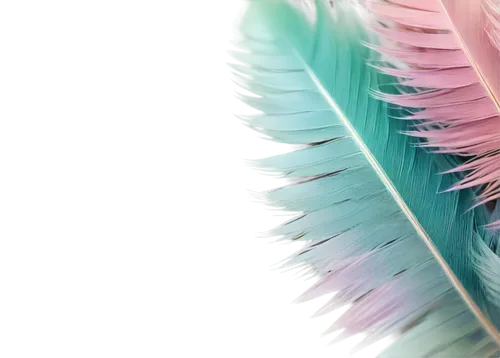 color feathers,peacock feather,parrot feathers,feather,gradient mesh,peacock feathers,spiral background,chrysanthemum background,feathers,pigeon feather,pastel wallpaper,teal digital background,crystalize,cinema 4d,bird feather,mermaid scales background,zigzag background,abstract background,feather bristle grass,chicken feather,Photography,Fashion Photography,Fashion Photography 12