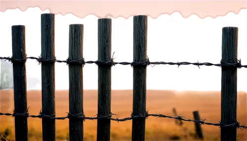 Rustic barbed wire fence, weathered wood posts, metal wires twisted together, sharp barbs, worn wooden texture, rough metal material, countryside setting, morning mist, soft golden lighting, 3/4 compo