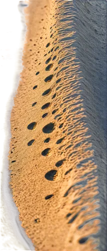 Large footprint, deep impression, sandy beach, summer season, toes curled over edge, gentle slope, soft focus, warm sunlight, shallow depth of field, natural texture, detailed ridges.,sand waves,sand 