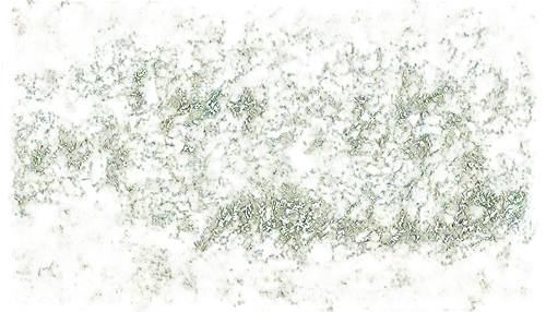 degenerative,generative,kngwarreye,terrazzo,percolated,generated,stereogram,meadow in pastel,lichen,deformations,seamless texture,sphagnum,background abstract,birch tree background,background pattern,mermaid scales background,background texture,stereograms,fiberglas,abstract background,Conceptual Art,Graffiti Art,Graffiti Art 08