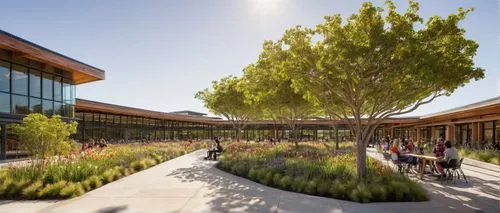 cupertino,sunnyvale,segerstrom,milpitas,palo alto,stanford university,googleplex,ucsd,calpers,school design,irvine,home of apple,orangevale,ohlone,gensler,packinghouse,csulb,greenbrae,yountville,genentech,Conceptual Art,Daily,Daily 18