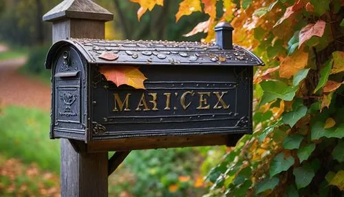 Rustic wooden mailbox, ornate metal mailbox, vintage postal box, rural roadside, surrounded by lush greenery, vines crawling up, autumn leaves scattered around, morning dew drops glistening, warm sunl