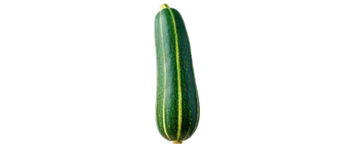 Green zucchini squash, ripe, vertical composition, solo, detailed texture, slight sheen, natural light, soft focus, shallow depth of field, warm color tone, cinematic lighting, 3/4 view, isolated on t