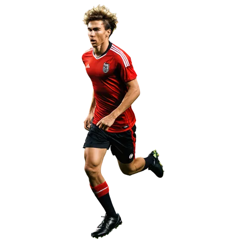 halfpenny,kiessling,mceveley,kuyt,forlan,witsel,halilovic,goetze,gourcuff,twelvetrees,locatelli,jelavic,nedved,kuerten,tomasson,ambrosini,oberbeck,arjen,ghaly,carrick,Art,Artistic Painting,Artistic Painting 01