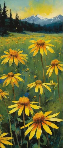 sun daisies,sun flowers,sunflowers,sunflower field,yellow daisies,rudbeckia,sunflowers in vase,meadow in pastel,summer meadow,meadow landscape,helianthus sunbelievable,helianthus,alpine meadow,arnica montana,perennials-sun flower,mountain meadow,barberton daisies,flowers field,arnica,woodland sunflower,Illustration,Paper based,Paper Based 12