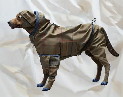 dog coat,gundogmus,herd protection dog,schnaufer,mastino,barbour