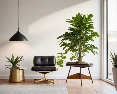 house plants,modern decor,houseplants,houseplant,contemporary decor,danish furniture,philodendron,anastassiades,mid century modern,bamboo plants,money plant,interior decor,hanging plants,calathea,green plants,ekornes,vitra,interior decoration,hostplant,interior design,Art,Classical Oil Painting,Classical Oil Painting 39